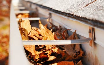 Whitchurch On Thames gutter cleaning companies