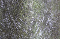 Whitchurch On Thames fibreglass roof work